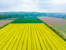 Aerial View Of Rapeseed Field And Other Cropland In Front Of City Kleve, Nordrhein-Westfalen, Germany.