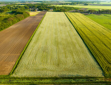 Aerial View Of Countryside With Strips Of Cropland, Windhorst, Mantinge, Drenthe, Netherlands.