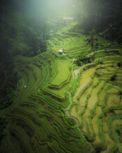 Aerial View Of Bali Tegallalang Rice Terraces, Indonesia.