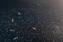 Aerial View Of People Feeding Birds On A Fishing Boat Along The Yamuna River In New Delhi, India.