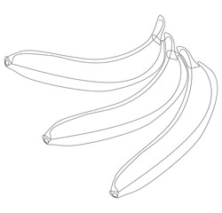 Poster - One continuous line of Banana. Thin Line Tropical Fruit illustration vector concept. Contour Drawing Creative ideas.