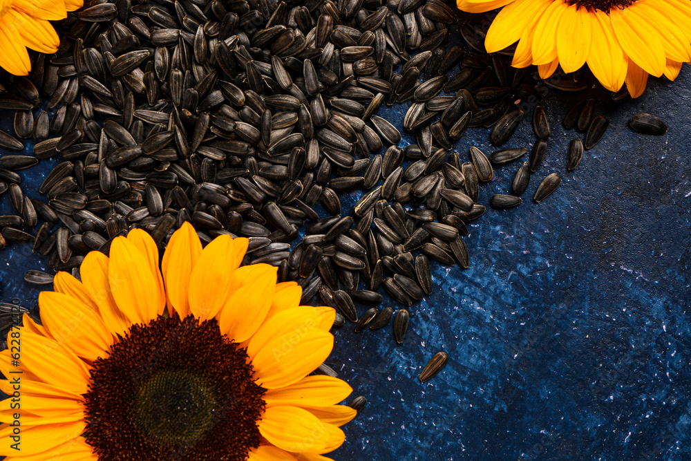 Sunflowers and heap of seeds on blue background