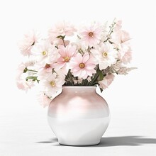 Light Pink Daisies Flowers White In Vase Rustic Plain Background