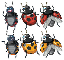 Wall Mural - set of ladybug cartoon character
