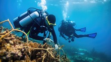 Team Of Marine Scientists Conducting A Coral Restoration Project In A Damaged Reef Ecosystem