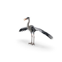 3D Rendering Of The  Crane On White Background Isolated, Japanese Cranes Stand With Open Wings
