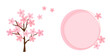 Cherry blossom tree and pink circle sign isolated on white background vector illustration.
