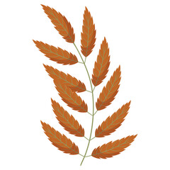 Naklejka na meble Autumn forest leaf branch illustration