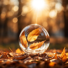 A Crystal Ball On The Autumn Forest In Sunset, Create Using Generative AI Tools