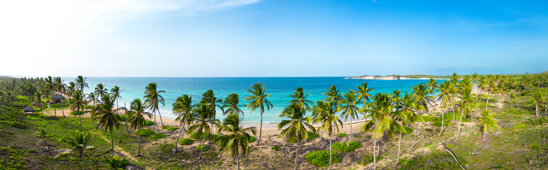 Aerial panorama of Macao beach with green coconut palm trees and turquoise color of the Caribbean sea. Best destinations for vacations in Dominican Republic 