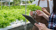 © Natee Meepian - male and female agriculture using tablet in greenhouse garden organic farming concept in the greenhouse
