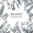 Whiskey tasting banner, poster party flyer. Vector sketch frame illustration of whisky brandy bottle, glasses, barley