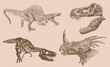 Graphical vintage set of dinosaurs on sepia background,vector illustration,tattoo  designs.