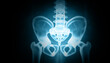 Anatomy of human hip, x-ray view. 3d illustration