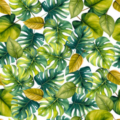 Wall Mural - Abstract foliage botanical seamless background. Green watercolor wallpaper of tropical leaves. Foliage design for banner, print, decor, wall art, decoration