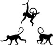 Monkey black silhouette walking running swinging vector graphic illustration