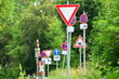 Forest of road signs