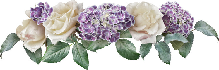 Wall Mural - White roses and purple hydrahgea isolated on a transparent background. Png file.  Line floral arrangement, bouquet of garden flowers. Can be used for invitations, greeting, wedding card.