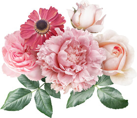 Wall Mural - Roses and peony isolated on a transparent background. Png file.  Floral arrangement, bouquet of garden flowers. Can be used for invitations, greeting, wedding card.