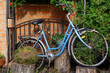 Old bicycle and greenery as a background