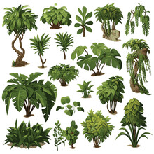 Jungle Vegetation Set Isometric Vector Flat Isolated Illustration