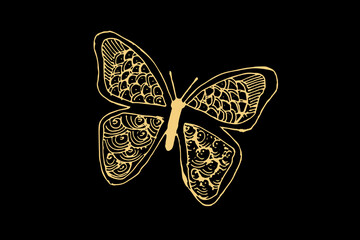 Wall Mural - Zentangle art for Butterfly with gold color isolated on dark black background - vector illustration