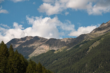 Canvas Print - montagna val di sole