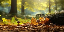Transport Yourself To An Enchanting Autumn Forest Filled With Golden Leaves And Scattered Oak Acorns. The Photograph Showcases The Dense Foliage And The Natural  Generative AI Digital Illustration