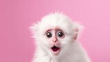 Portrait of a white cute baby monkey with surprised  expression on a pink background,Generative AI