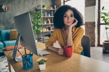 Poster - Photo of thoughtful cute lady leader dressed shirt smiling having rest drinking tea indoors workstation workshop