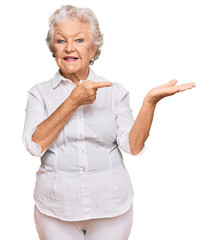 Wall Mural - Senior grey-haired woman wearing casual clothes amazed and smiling to the camera while presenting with hand and pointing with finger.