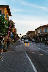 Wall Mural - Pisa | city walk