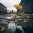 © customer solution - depression in the dark autumn street