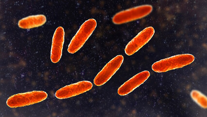 Wall Mural - Klebsiella bacteria, a type of Gram-negative bacteria known for causing a range of infections, 3D illustration