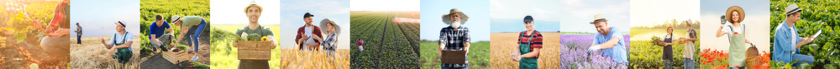 Wall Mural - Group of working farmers in fields