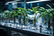 Hydroponics lab room on spacecraft. Organic laboratory scientists and biologists testing plants quality. Farm of the Future and agricultural laboratory concept. New methods of plant breeding and