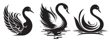 Swan Vector Silhouette Illustration On A White Background