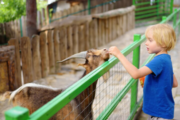 Little boy feeding goat. Child at outdoors petting zoo. Kid having fun in farm with animals. Children and animals. Fun for kids on school holidays.