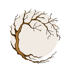 circle tree bare, leafless tree with empty branches