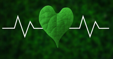 Environmental health and nature conservation concept with heart shaped leaf with heartbeat