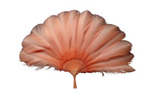 Burlesque Feather Fan . Isolated Object, Transparent Background