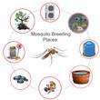 Mosquito breeding places include stagnant water sources like ponds, puddles, and containers. Eliminating these breeding grounds helps prevent their reproduction and the spread of diseases.