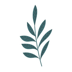 Wall Mural - plant twig on white background in flat style vector