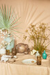 © Will Anderson - still life table setting desert neutral plants pots interior