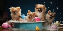  Surrounded By Scattered Toys And Toppled Water Bowls - Conveying Playfulness And Curiosity - Capturing The Delightful Energy Of Pomeranian Puppies On An Adventure   Generative AI Digital Illustration