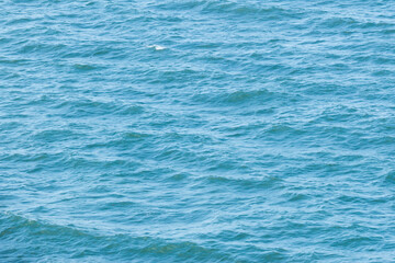 Wall Mural - photo of surface motion water of sea or ocean with beautiful sky blue light tone.