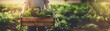 © BraveSpirit - Farmer holding a box of fresh organic vegetables with copy space. Generative AI