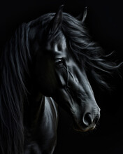 Generated Photo-realistic Portrait Of A Friesian Black Horse With Developing Mane