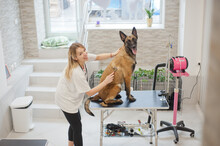 Dog Grooming, Pets And Pet Friendly