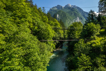 Canvas Print - Suspension bridge over alpine river in green forest, Slovenia. Aerial drone view